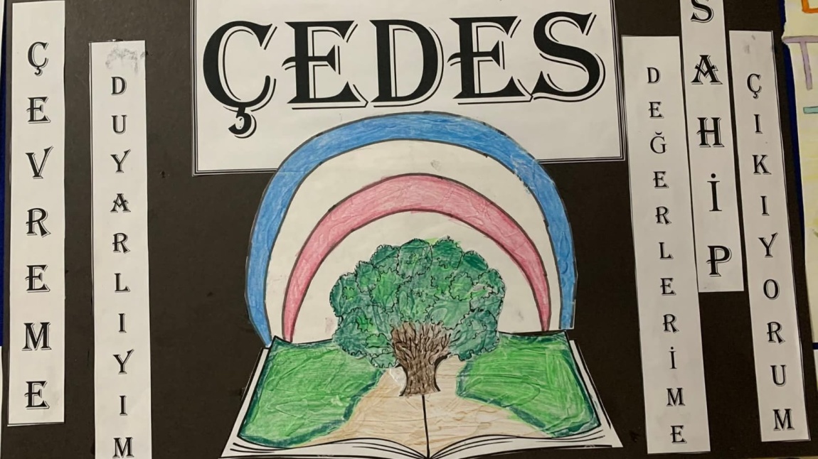 ÇEDES PROJESİ TEMİZLİK TEMASI